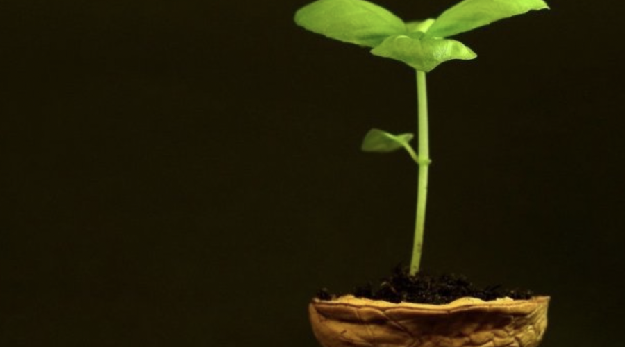 news-banner